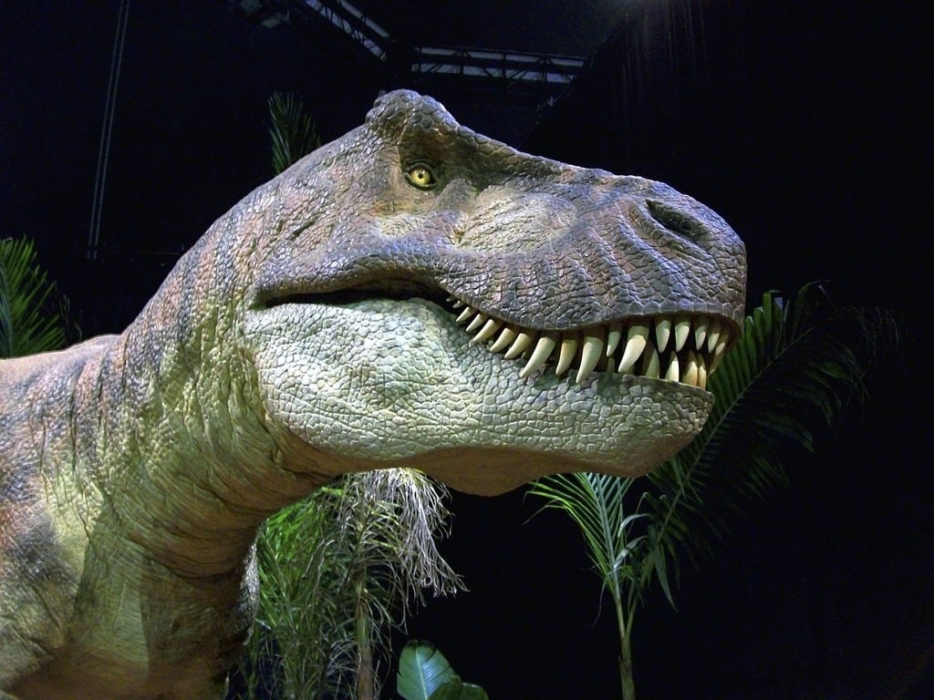This a picture of a T-Rex